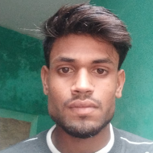 Insan Ali-Freelancer in bahraich,India