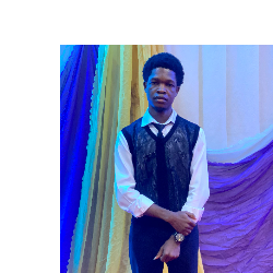 Eze-Freelancer in Lagos,Nigeria