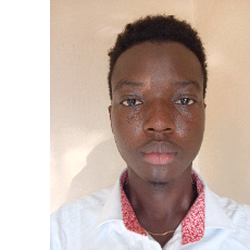 Prince Atiba-Freelancer in Benin,Nigeria