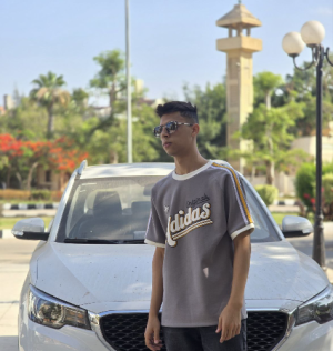 Virtual Assistant|Data Entry&Excel Tasks-Freelancer in cairo,Egypt