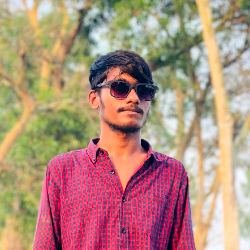 MD.Somrat Hasan-Freelancer in Sherpur, Sadar, Upazila,Bangladesh