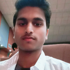 Vivek Thakur-Freelancer in Jamnagar,India