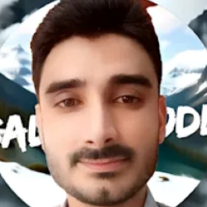 Hassan Sher-Freelancer in Mardan,Pakistan