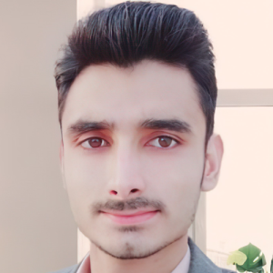 Hassan Sher-Freelancer in Mardan,Pakistan