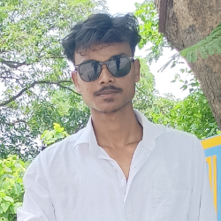 Shams Zeya-Freelancer in Ranchi,India