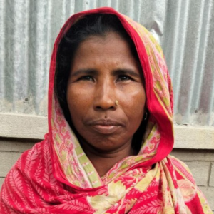 Mst Hamida Begum-Freelancer in Pirojpur,USA
