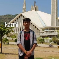 Saram Kazmi-Freelancer in Sialkot,Pakistan