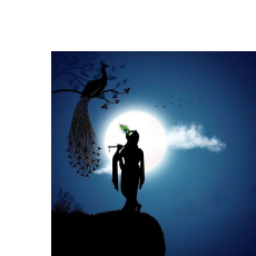 Professional-Freelancer in Paschim Barjalai,India