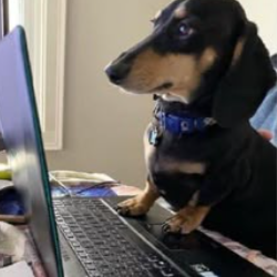 Lucas Azevedo-Freelancer in Marabá,Brazil