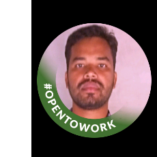 Bhaskar Saren-Freelancer in Sari Pura,India