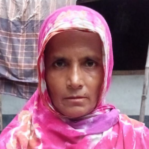 Mst Jobeda Begum-Freelancer in ,USA