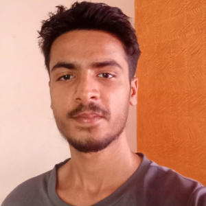 Raju Pandit-Freelancer in Bangalore,India