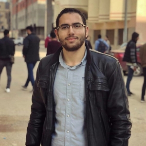 Ahmed Hamdy-Freelancer in Mansoura,Egypt