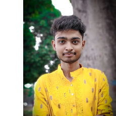 Abhijit Barai-Freelancer in Chikrand,India