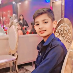 Dilkash Khan-Freelancer in Patna,India