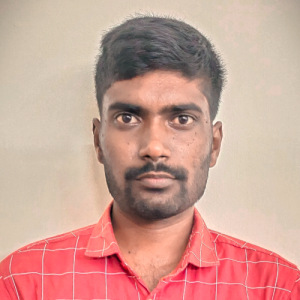 Navindhan N-Freelancer in Chennai,India