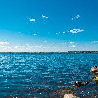 Gunjan Kokate-Freelancer in Amravati Division,India