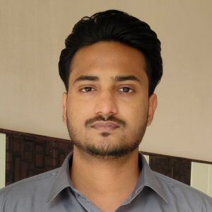 Prince Kumar-Freelancer in Ludhiana,India