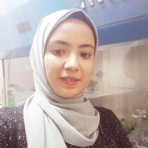 Mai Gamal-Freelancer in Cairo,Egypt