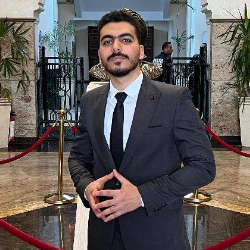 Aly Eldeen Hassan-Freelancer in Cairo,Egypt