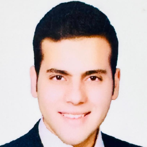 Amr Elsherbiny-Freelancer in ,Egypt