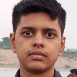 Debangshu Das-Freelancer in Siliguri,India