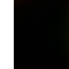 Suji Ashmika-Freelancer in Nagercoil,India