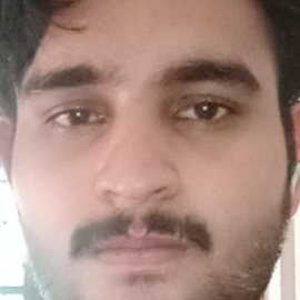 Muhammed Rahees-Freelancer in calicut,India