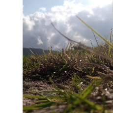 Asher Zedano-Freelancer in Tura,India