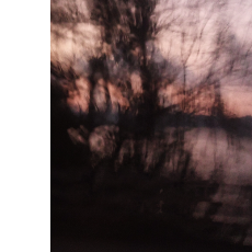 Asher Zedano-Freelancer in Tura,India