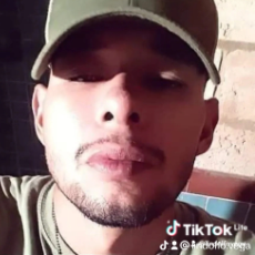 Lindolfo Vega-Freelancer in Brownsville,USA