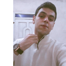 Elsayed Shaltoot-Freelancer in Monufia,Egypt