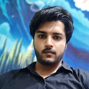 Naushad Saifi-Freelancer in Meerut,India