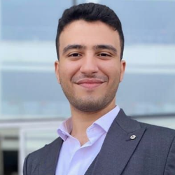 Diaa Assem-Freelancer in cairo,Egypt