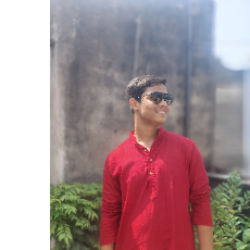 Susmit Paral-Freelancer in Howrah,India