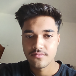 Krishna Sharma-Freelancer in Jodhpur,India
