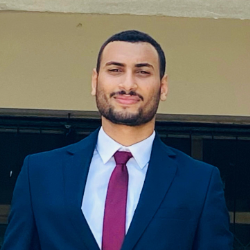 Ahmed Mahmoud Ali-Freelancer in ,Egypt