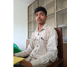 Sarasij Dubey-Freelancer in Prannathpur Bachhariya,India