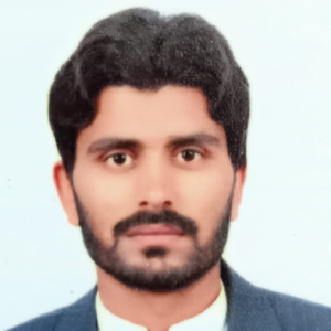 Malik Arslan-Freelancer in Islamabad,Pakistan