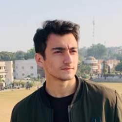 Faizan Ali-Freelancer in New Mirpur City,Pakistan