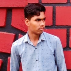 Pankaj Kumar-Freelancer in Udaipur,India