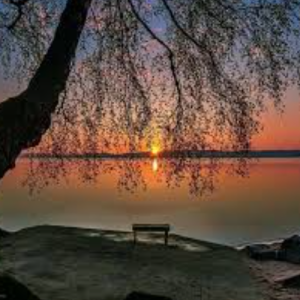 CalmConvos-Freelancer in Bangalore,India