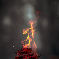 Hamza-Freelancer in Sahiwal,Pakistan