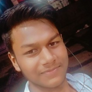 Seraj Ansari-Freelancer in Mumbai India,India