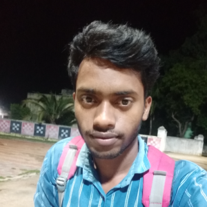 Amar Kumar Sahoo-Freelancer in Bhubaneswar,India