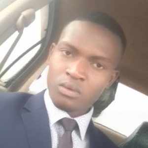 Tinaye Nickson Hamandishe-Freelancer in Harare, Zimbabwe,Zimbabwe