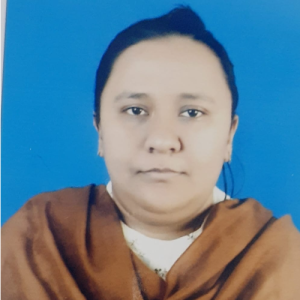 Anjumanbanu Vijapurwala-Freelancer in Himatnagar,India