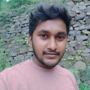 Narayanaswamy R-Freelancer in Salem,India