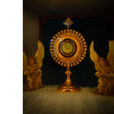 Joby Kunnumpurath-Freelancer in Arakulam,India