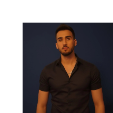 Mohammad Reza-Freelancer in دزفول,Germany